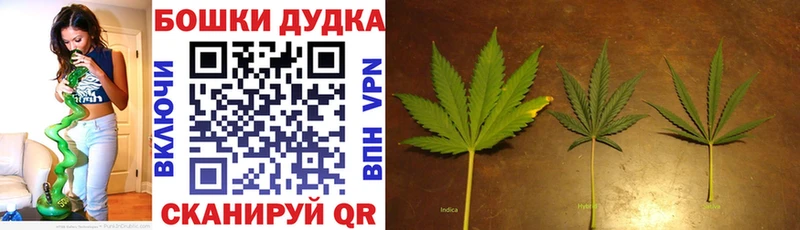 мега как зайти  Белорецк  Конопля SATIVA & INDICA  как найти  